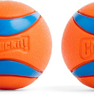 Ultra Ball Dog Toy